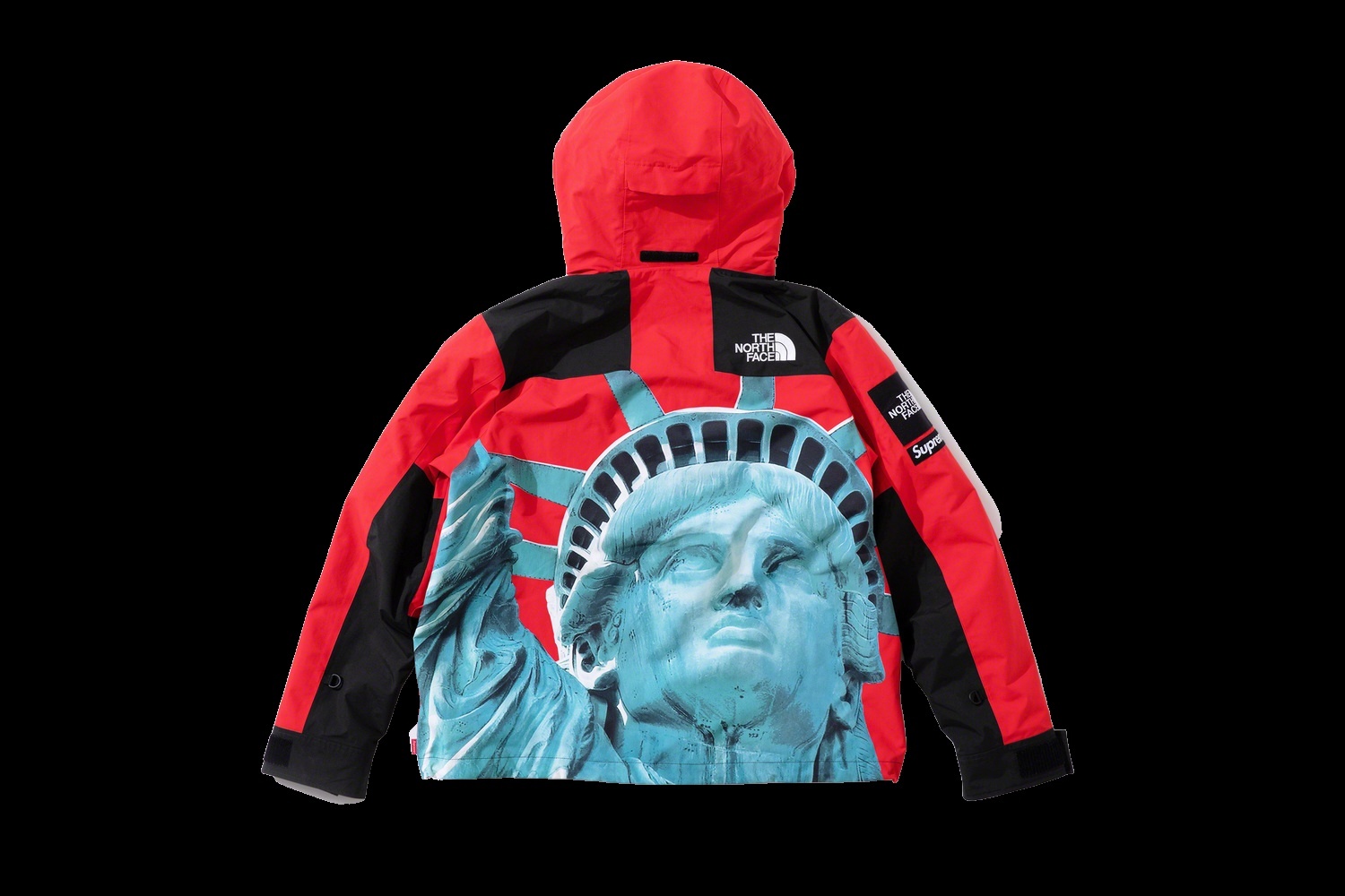 Supreme®/The North Face® Statue of Liberty Mountain Jacket view 19